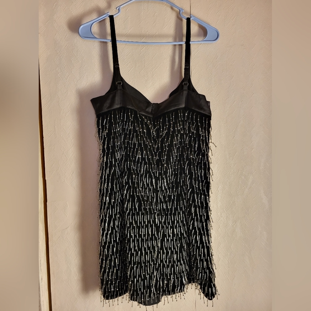 Anthropologie Sweetheart Fringe Shift Mini - Picture 7 of 10